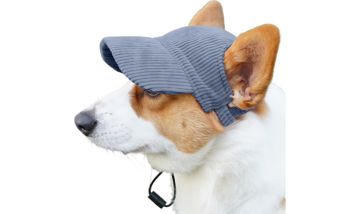 Corgi con cappellino sportivo blu traspirante a coste, leggero, per protezione dal sole durante le uscite estive.