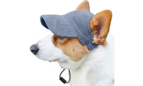 Cappellino Sportivo Traspirante per Cani per l'Estate Corgi con cappellino sportivo blu traspirante a coste, leggero, per protezione dal sole durante le uscite estive.