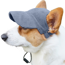 Corgi con cappellino sportivo blu traspirante a coste, leggero, per protezione dal sole durante le uscite estive.