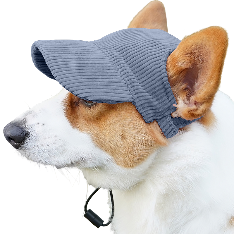 Cappellino Sportivo Traspirante per Cani per l'Estate Corgi con cappellino sportivo blu traspirante a coste, leggero, per protezione dal sole durante le uscite estive.