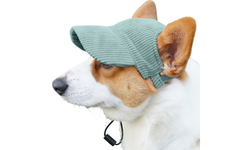 Corgi con cappellino sportivo verde traspirante a coste, leggero, per protezione dal sole durante le uscite estive.
