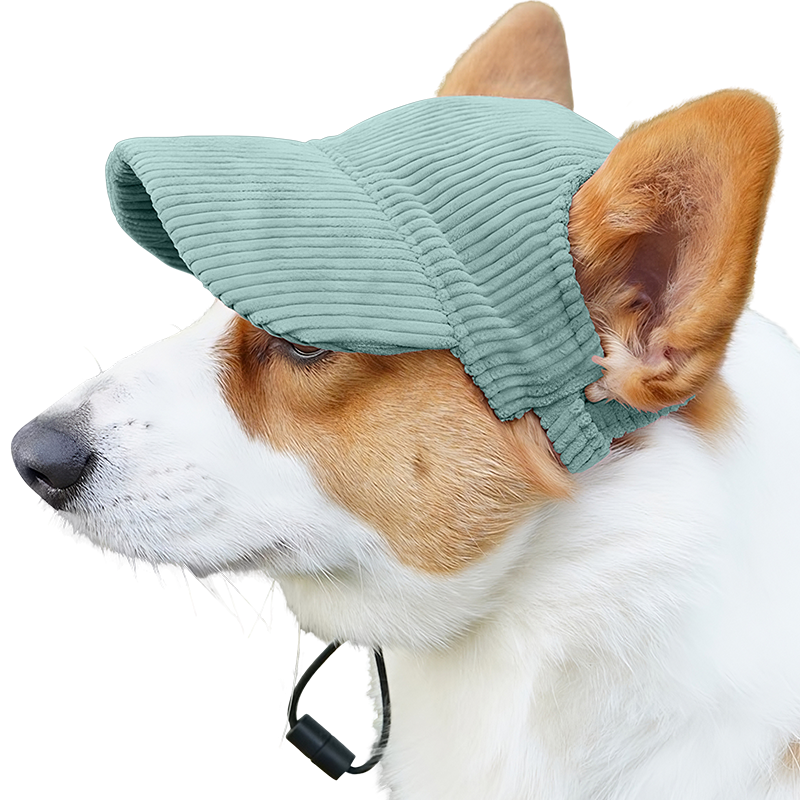 Cappellino Sportivo Traspirante per Cani per l'Estate Corgi con cappellino sportivo verde traspirante a coste, leggero, per protezione dal sole durante le uscite estive.