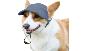 Cappellino Sportivo Traspirante per Cani per l'Estate Corgi con cappellino sportivo blu traspirante a coste, alla moda, materiale morbido e leggero per comfort.