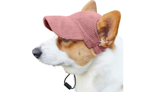 Corgi con cappellino sportivo rosa chiaro traspirante a coste, leggero, per protezione dal sole durante le uscite estive.