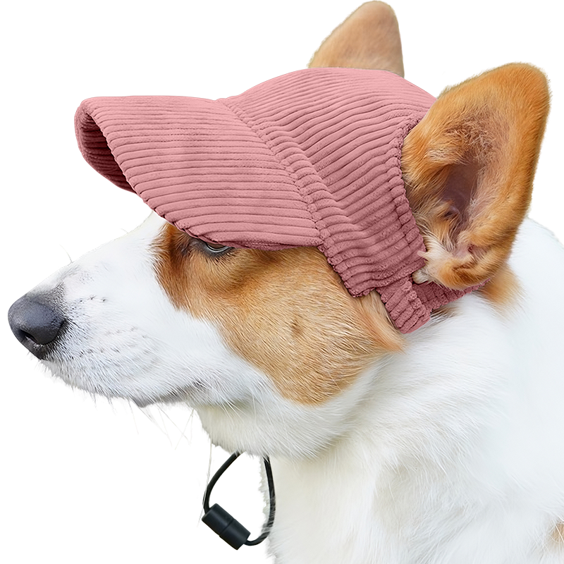 Cappellino Sportivo Traspirante per Cani per l'Estate Corgi con cappellino sportivo rosa chiaro traspirante a coste, leggero, per protezione dal sole durante le uscite estive.