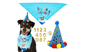 Set di Bandane di Compleanno per Cani Set di compleanno per cani blu con bandana colorata 'It's My Birthday!', leggero per il comfort del cane.