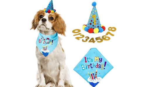 Set di compleanno per cani blu con bandana colorata 'It's My Birthday!', morbido e resistente.