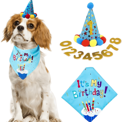 Set di compleanno per cani blu con bandana colorata 'It's My Birthday!', morbido e resistente.