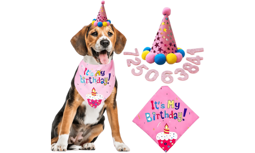Set di compleanno per cani rosa con bandana colorata 'It's My Birthday!', morbido e resistente.