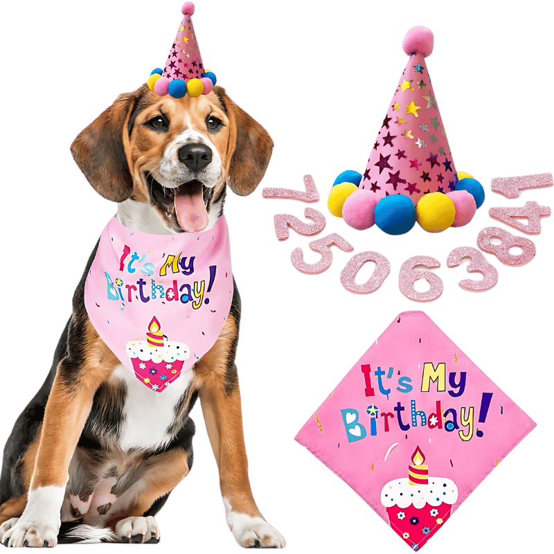 Set di Bandane di Compleanno per Cani Set di compleanno per cani rosa con bandana colorata 'It's My Birthday!', morbido e resistente.