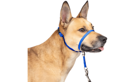 Collare per Testa di Cane Senza Tiraggio con Passante per il Naso Imbottito Collare per testa no-pull blu con fascia nera regolabile e loop imbottito, taglia small, previene il tiro.