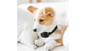 Collare Antiabbaio per Cani No-Shock Collare anti-abbaio senza scosse per cani con design a impronta di zampa, regolabile, per cani fino a 22 pollici.