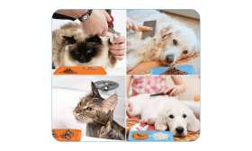 Tappetino da Leccare per Cani non Tossico con Spatola