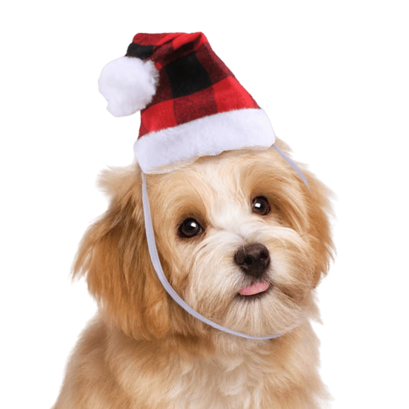 Cappello di Babbo Natale per Cani e Gatti