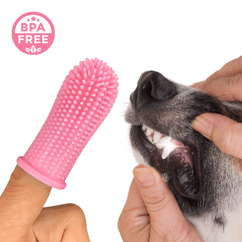 Spazzolino da Denti a 360º in Silicone per Cani