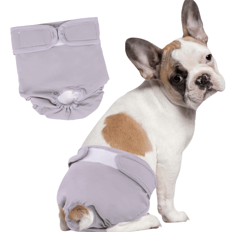 Pannolino Lavabile Premium per Cani Femmina