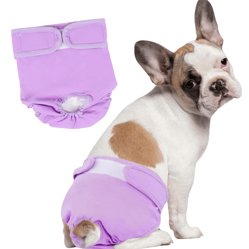 Pannolino Lavabile Premium per Cani Femmina