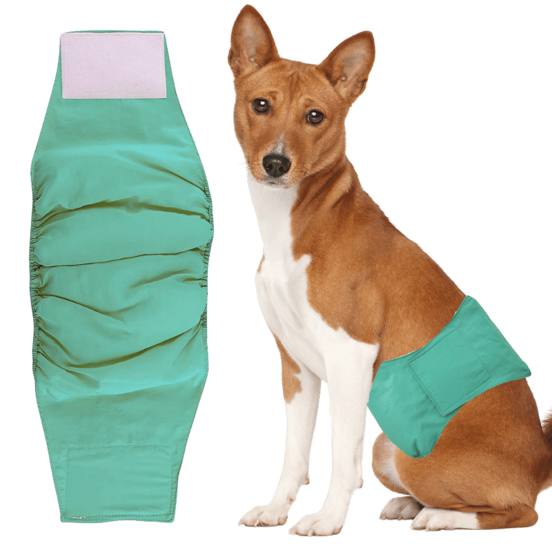 Pannolino Lavabile Premium per Cani Maschi