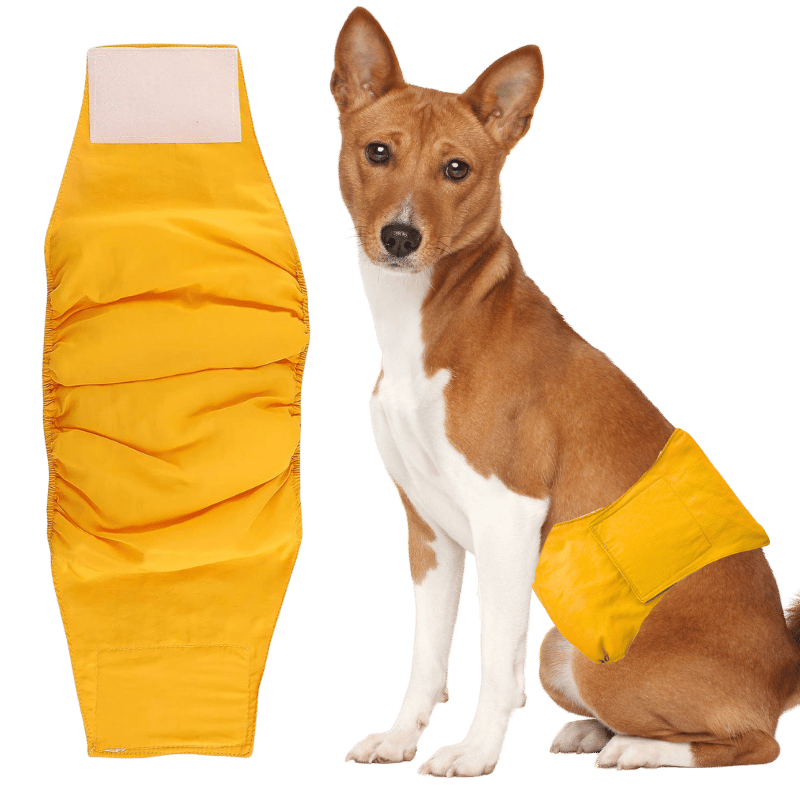 Pannolino Lavabile Premium per Cani Maschi