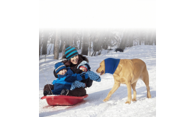 Scaldacollo Anti-ansia per Cani, Protezione da Rumore, Orecchie e Inverno