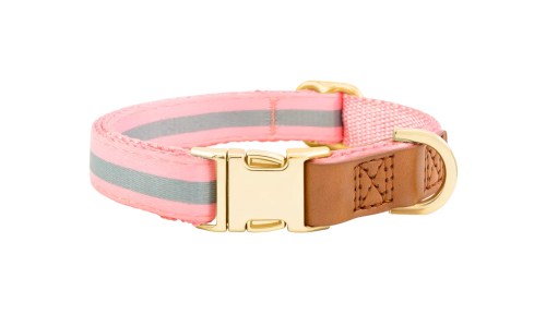 Collare per cane rosa chiaro con fibbia metallica dorata per incisione del nome, lunghezza 27-40 cm, con D-ring per attacco.