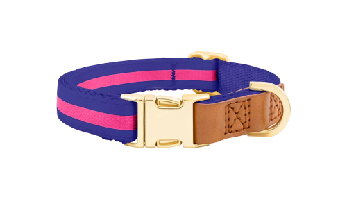 Collare per cane blu con fibbia metallica dorata per incisione del nome, lunghezza 27-40 cm, con D-ring per attacco.