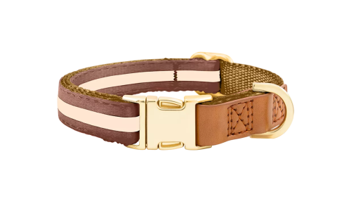 Collare per cane marrone con fibbia metallica dorata per incisione del nome, lunghezza 27-40 cm, con D-ring per attacco.