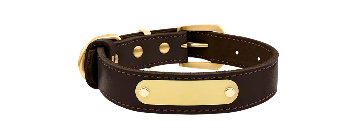 Lussuoso Collare per Cani in Pelle Vera Incisa Collare per cane in pelle genuina marrone con placca ID dorata per incisione del nome, lunghezza 47-51 cm.