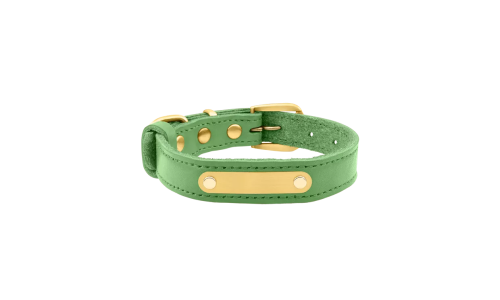 Collare per cane in pelle genuina verde con placca ID dorata per incisione del nome, lunghezza 37-40 cm.
