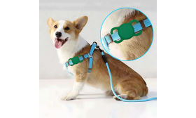 Supporto AirTag in Silicone Resistente per Collari per Cani – Protezione Anti-smarrimento