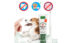 Set Completo per la Cura Orale del Cane: spazzolino da denti, 2 spazzolini da dito e dentifricio alla vaniglia Set Completo per la Cura Orale del Cane: spazzolino da denti, 2 spazzolini da dito e dentifricio alla vaniglia
