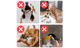 Museruola Riflettente Regolabile per Cani - Traspirante e confortevole