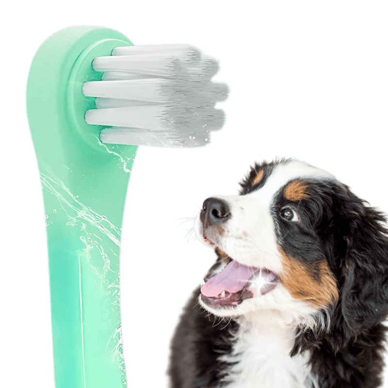 Spazzolino Dentale delicato per cani e gatti con setole morbide in nylon