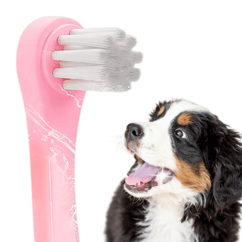 Spazzolino Dentale delicato per cani e gatti con setole morbide in nylon