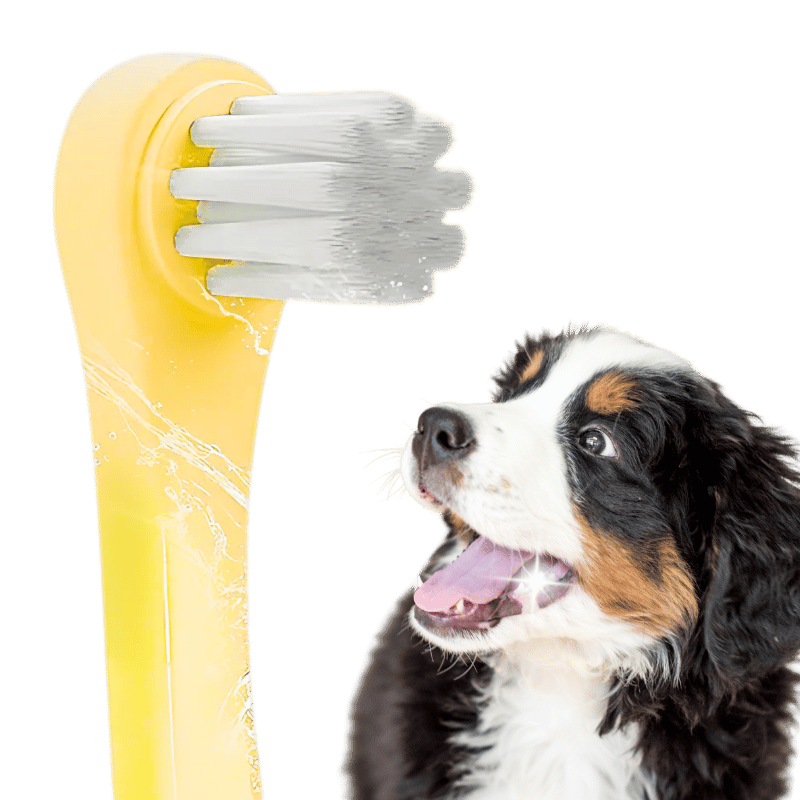 Spazzolino Dentale delicato per cani e gatti con setole morbide in nylon