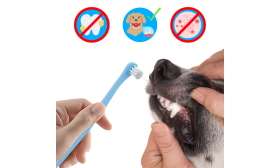 Spazzolino Dentale delicato per cani e gatti con setole morbide in nylon Spazzolino Dentale delicato per cani e gatti con setole morbide in nylon