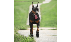 Scarpe Cane Impermeabili Riflettenti a 360° – Scarpe Cane Antiscivolo per Protezione Zampe Scarpe Cane Impermeabili Riflettenti a 360° – Scarpe Cane Antiscivolo per Protezione Zampe