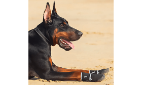 Scarpe Cane Impermeabili Riflettenti a 360° – Scarpe Cane Antiscivolo per Protezione Zampe Scarpe Cane Impermeabili Riflettenti a 360° – Scarpe Cane Antiscivolo per Protezione Zampe