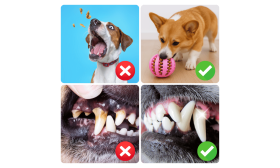 Distributore di Snack per Cani – Giocattolo Interattivo in Gomma