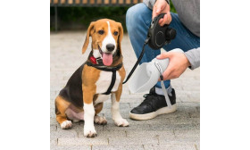 Borraccia Pieghevole per Cani da 550 ml - Ciotola da Viaggio per Animali Domestici in Silicone per Uso Alimentare Borraccia Pieghevole per Cani da 550 ml - Ciotola da Viaggio per Animali Domestici in Silicone per Uso Alimentare