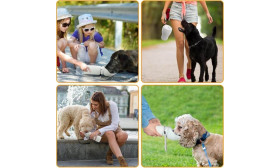 Borraccia Pieghevole per Cani da 550 ml - Ciotola da Viaggio per Animali Domestici in Silicone per Uso Alimentare Borraccia Pieghevole per Cani da 550 ml - Ciotola da Viaggio per Animali Domestici in Silicone per Uso Alimentare