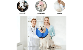 Collare Gonfiabile per Cani - Collare Regolabile per il Recupero degli Animali Domestici Collare Gonfiabile per Cani - Collare Regolabile per il Recupero degli Animali Domestici