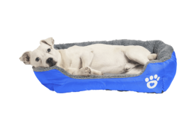 Morbido Letto per Cani