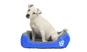 Morbido Letto per Cani