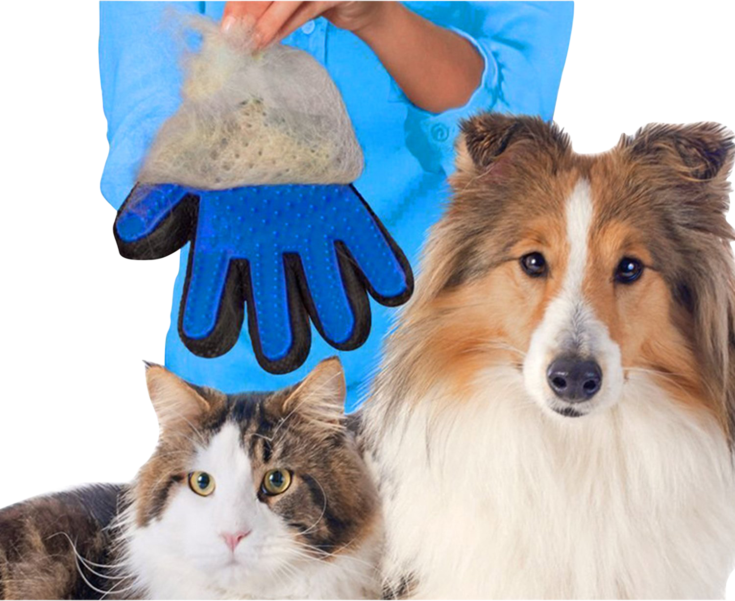 Persona con guanto da toelettatura blu vicino a un cane e un gatto, mostrando l'uso del guanto per la toelettatura.