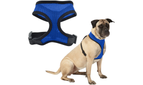 Imbracatura cane in rete blu, leggera, comoda, con cinghie nere regolabili e clip resistente.