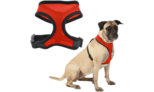 Imbracatura cane in rete rossa, leggera, comoda, con cinghie nere regolabili e clip resistente.