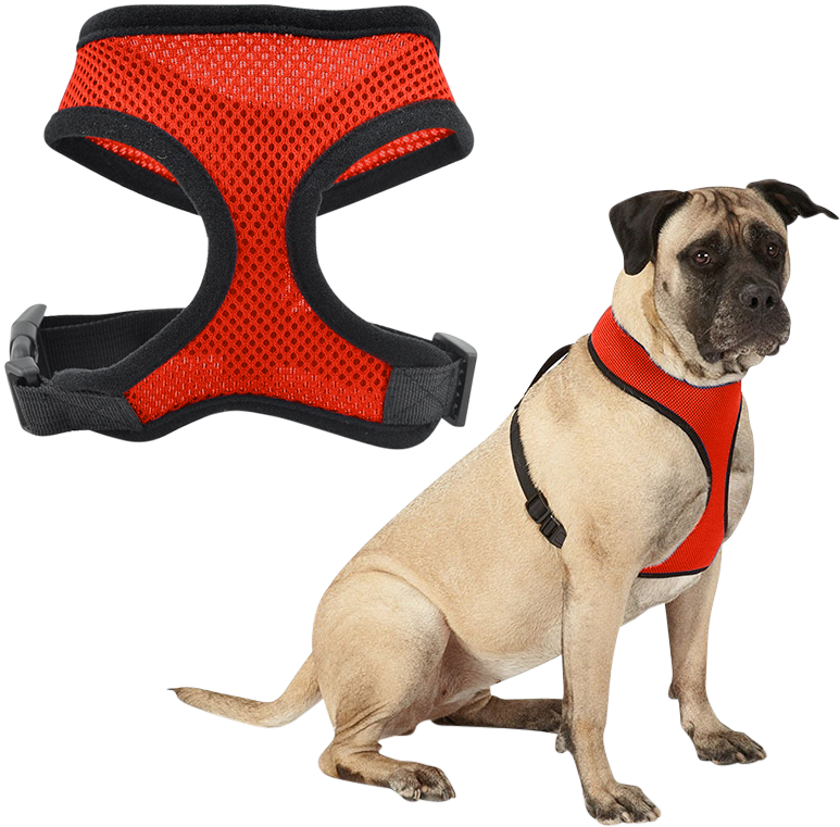 Pettorina Cane Imbracatura cane in rete rossa, leggera, comoda, con cinghie nere regolabili e clip resistente.