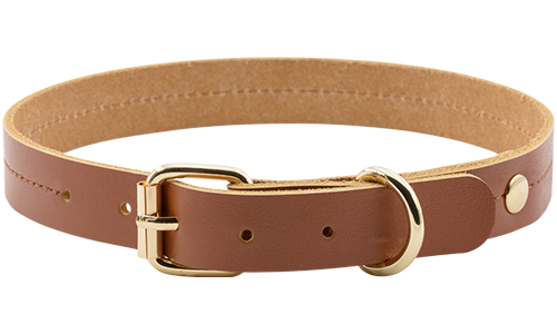 Collare per cane in pelle marrone, 43-53 cm, 3,2 cm di larghezza, fibbia dorata e D-ring per resistenza.