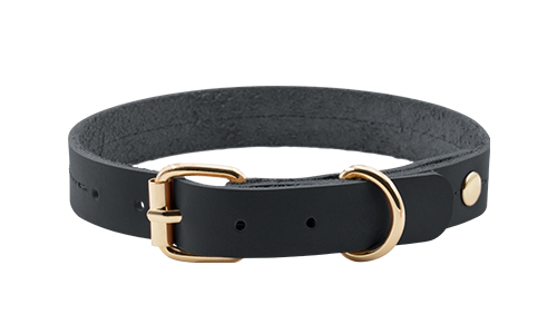 Collare in Vera Pelle di Alta Qualità per Cani Collare per cane in pelle nera, 27-34 cm, 2,2 cm di larghezza, fibbia dorata e D-ring per resistenza.